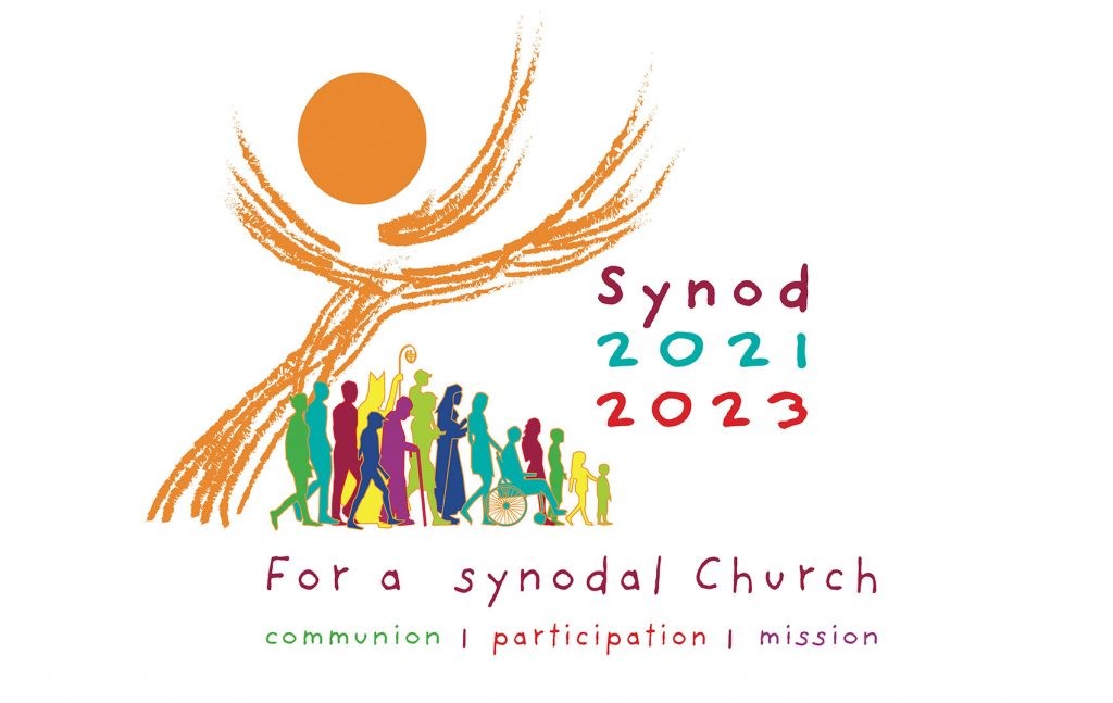 Synodal Journey Update June 2023